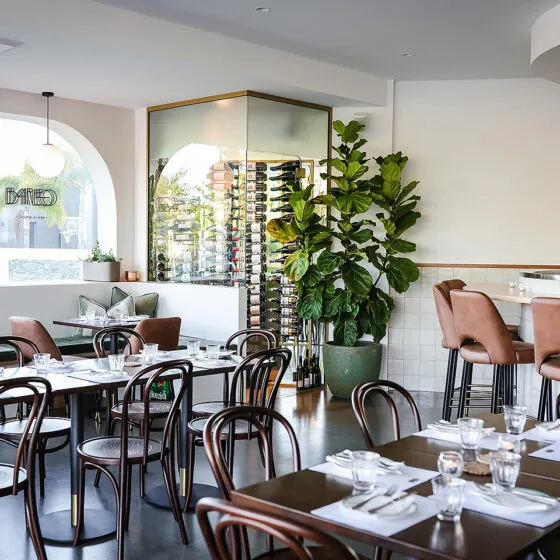 Bar Leo, Gold Coast